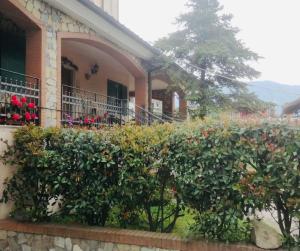a house with a hedge in front of a building at B&B Alba in SantʼAnastasia