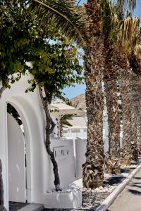 a row of palm trees in front of a white building at Kouros Village Hotel - Adults Only in Perissa