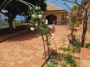 a tree with white flowers in a courtyard at Villa Verde in Cefalù