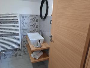 a bathroom with a white sink and a mirror at Apartments Vidic in Bled