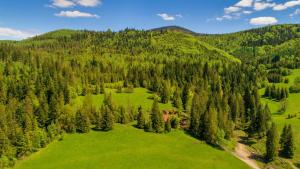 an aerial view of a green field with trees at Ostoja Rycerka in Rycerka Górna +48 photos