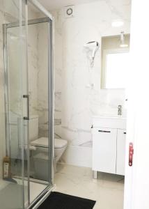 a bathroom with a shower and a toilet and a sink at Babylon Tourist Apartments in Benalmádena
