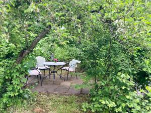 Zahrada ubytování Apartment Ahrquelle im Posthalterhof mit Sauna