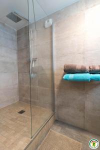 a bathroom with a shower with a glass door at Villa CASA COSY - Moderne - Climatisation - 3 chambres - 3 salles de bain in Saint-Mamet +32 photos
