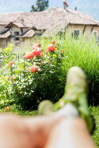 Zahrada ubytování B&B Unterhabsbergerhof
