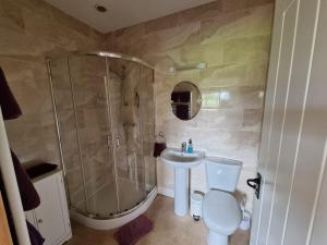 a bathroom with a shower and a toilet and a sink at Burnt House Farm in Highbridge +29 photos