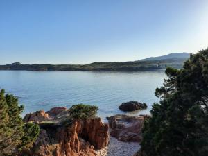 Gallery image of Casa Moro in Trinità dʼAgultu +14 photos