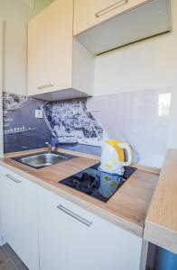 Kuchyň nebo kuchyňský kout v ubytování Apartment Piccolo For 2