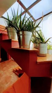 Foto sihtkohas Ližnjan asuva majutusasutuse Zelena kuća- GREEN HOUSE galeriist