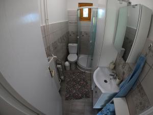 a small bathroom with a toilet and a sink at Moha és Páfrány Vendégház in Lakitelek +21 photos