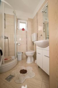 La salle de bains est pourvue d'un lavabo, de toilettes et d'une douche. dans l'établissement Apartment Alba, à Medveja