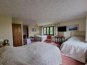 a bedroom with two beds and a flat screen tv at Burnt House Farm in Highbridge