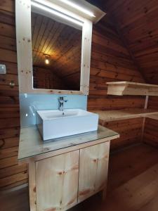 a bathroom with a sink and a mirror at Almhütte Kristabauer in Predlitz