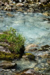 Paesaggio naturale nelle vicinanze dell'aparthotel