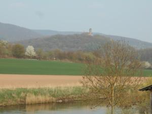 a tree in the water with a hill in the background at Ferienwohnung-Pension Werrablick in Witzenhausen