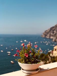 um vaso de flores sentado numa saliência com vista para o oceano em Casa Marty em Positano