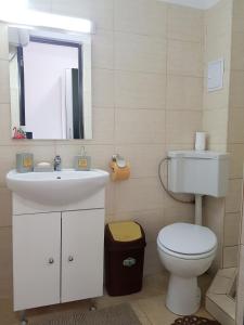 a bathroom with a toilet and a sink and a mirror at ALFA BETA RESIDENCE in Saturn +5 photos