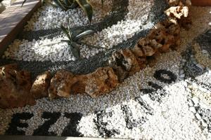 un jardin rocheux avec une plante au milieu dans l'établissement Hotel Ezzelino, à San Zenone