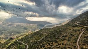 Foto dalla galleria di Tutti Fruti a Áno Karéa