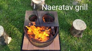 Gril dostupný pro hosty v prázdninového domu