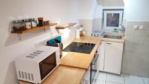 a small kitchen with a microwave and a sink at Studio Tony in Dubrovnik
