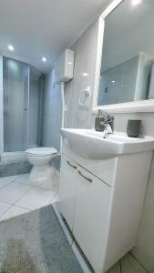 a bathroom with a sink and a toilet and a mirror at Studio Tony in Dubrovnik