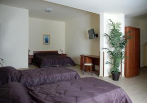 a hotel room with two beds and a plant at Hotel Sofia in Catania