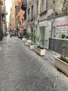 un vicolo con piante in vaso sul lato di un edificio di CIKO HOME a Napoli