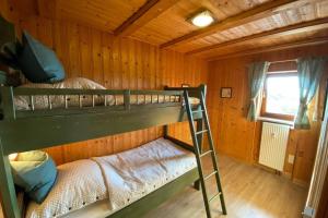 a bedroom with two bunk beds in a cabin at Mitten im Bayerischen Wald + Schönblick + Urig + NETFLIX in Schöfweg