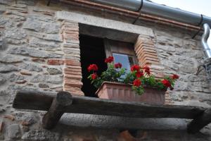 a window with red flowers in a window box at Helikon -la dimora del viandante- in Montalbano Elicona