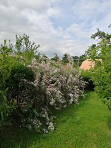 Táj a villa közelében