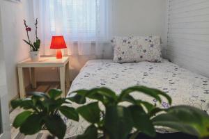 Fotografie z fotogalerie ubytování Sobe - rooms R&K v destinaci Bohinj