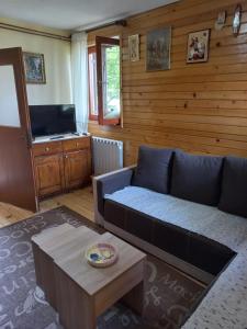 a living room with a couch and a television at Vikendica Milos in Žabljak