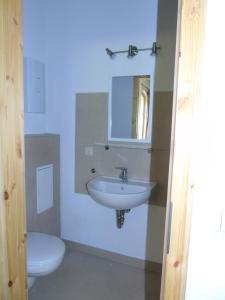 een badkamer met een wastafel en een toilet bij Schmiede der Wasserburg Liepen in Gielow