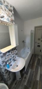 a bathroom with a sink and a tub and a toilet at Central Garden Palace Iasi in Iaşi +14 photos