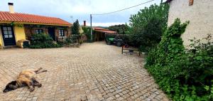 Afbeelding uit fotogalerij van Quinta do Chao D'Ordem in Vila Nova de Foz Coa