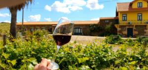 Afbeelding uit fotogalerij van Quinta do Chao D'Ordem in Vila Nova de Foz Coa