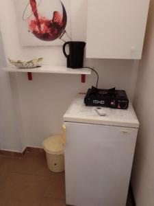 a small white refrigerator with a camera on top of it at Camera Noemi in Torre Lapillo
