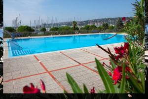 a large blue swimming pool with red flowers in the foreground at mariTIME deluxe in Portorož