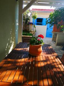 Fotografie z fotogalerie ubytování Apartments Lanterna Ražanac v destinaci Ražanac