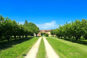a dirt road with trees and a house in the background at Tenuta Santa Lucia in Silea