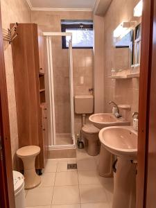 een badkamer met een douche, een toilet en een wastafel bij Piroska Apartment in Zalakaros