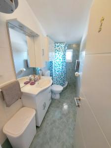 Koupelna v ubytování Apartman Ana