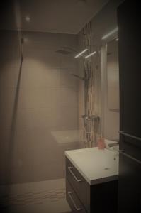 a bathroom with a shower and a sink at Secret de Bonheur in Bonsin