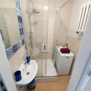 een badkamer met een douche, een toilet en een wastafel bij Apartament Kurka in Hajnówka