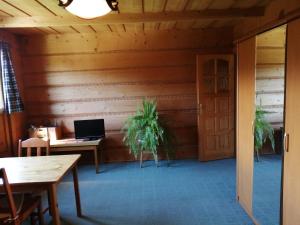 TV a/nebo společenská místnost v ubytování Drewniany Pokoik Tatra Travel
