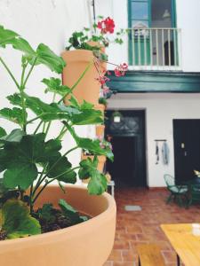 The building in which the homestay is located