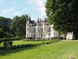 Château de Vallagon في Bourré: منزل أبيض كبير مع ساحة عشبية كبيرة