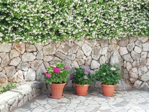 Zahrada ubytování Villa Gromaca