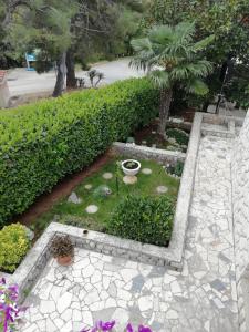 Zahrada ubytování Villa Gromaca